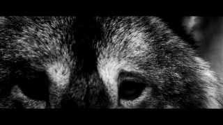 Watch the Beneath My Bridge video