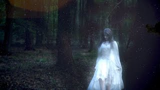 Dreamwood - Priestess Of The Moon music video