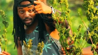 Adventerous - Smell What I'm Smokin music video