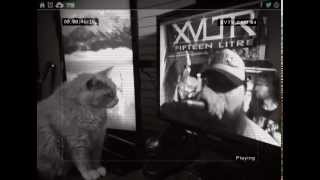 Fifteen Litre (XVLTR) - Xvtv music video