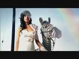 View the Hot N Cold video