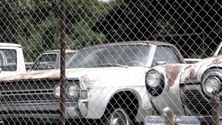 View the Black Stars video