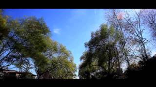 Watch the LEDz video