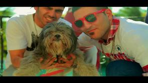 Watch the Melodica video