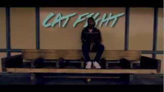 Watch the Cat Fight video