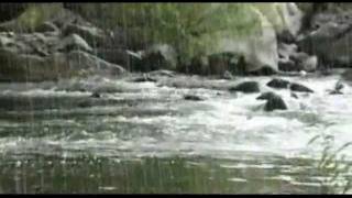 View the Find Your River video