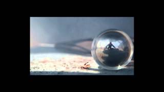 View the Under The Golden Sun video