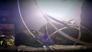 Watch the Busy Pop video