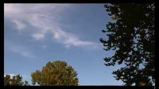 View the Rhyme or Reason video