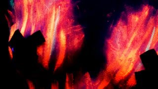 Play the Surrender, Defect, Somehow video