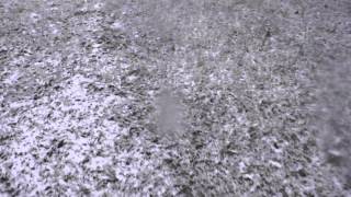 View the A Long Time video