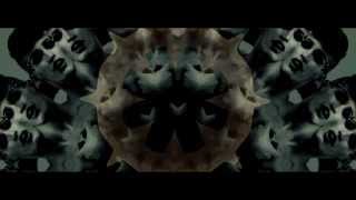 View the Sickness video