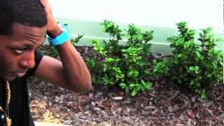 View the Main Bi video