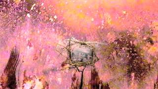 View the Medicine In video