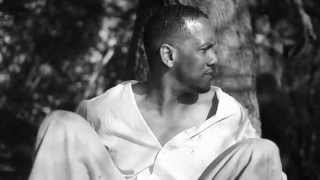 Watch the H.I.T.L.E.R. video