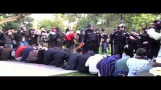 View the STFU (Rebelution) video