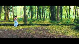 View the Animal video