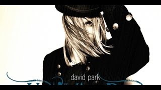 David Park - Private Paradise music video