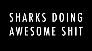 Watch the The Bad Touch (Sharkoffs Remix) video