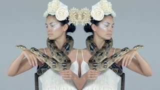 View the No Mercy video