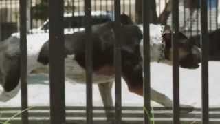 Watch the Secret Machine video