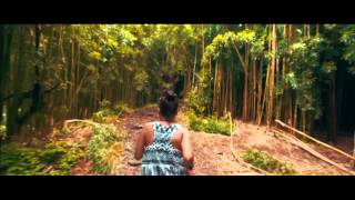 Aviel Ben Yamin - Hawaii music video