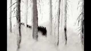 View the Cradle 2 Grave video