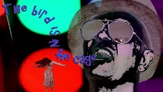 Watch the The Bird Is In The Cage video