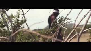 Watch the Sh*t video