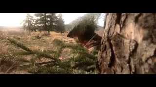 Wyatt Erb - Hunter / Hunted music video