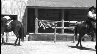 View the Wanted Man video