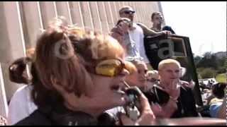 View the The Luv Cat video