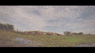 Watch the Playa Oriente video