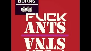 Play the Ants video