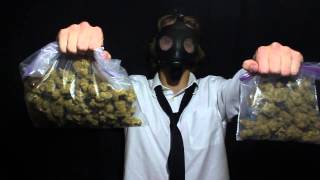 View the Rebel video