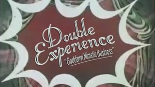Double Experience - Goddamn Mimetic Business music video