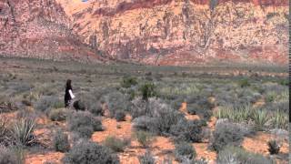 Play the Alone video