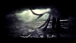 View the Artificial Heart video