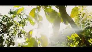 Watch the Seeker video