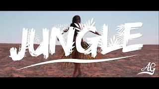 View the Jungle (ft. Kyle Lynch) video