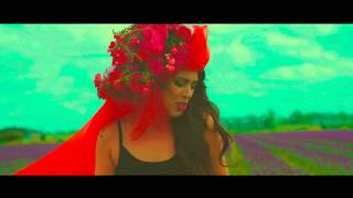 View the Flowers video