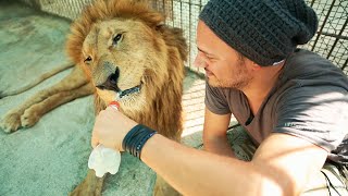 View the Everything Is Possible video