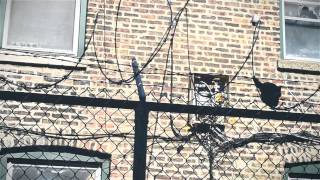 Watch the Real Niggas (ft. Pave The Jeweler) video