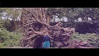 Watch the Northern Lights video