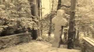 Watch the Out For Blood video