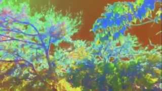 View the Track 00 video