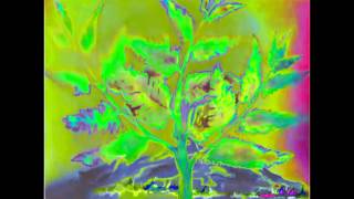 Watch the Real video