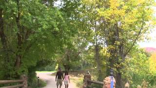 Watch the Sanctuary video