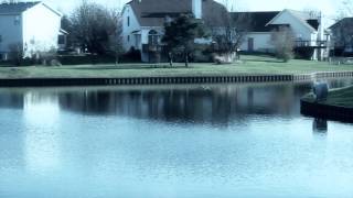 Watch the I Need You video