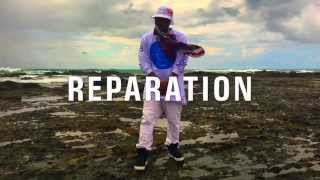 View the Reparation video